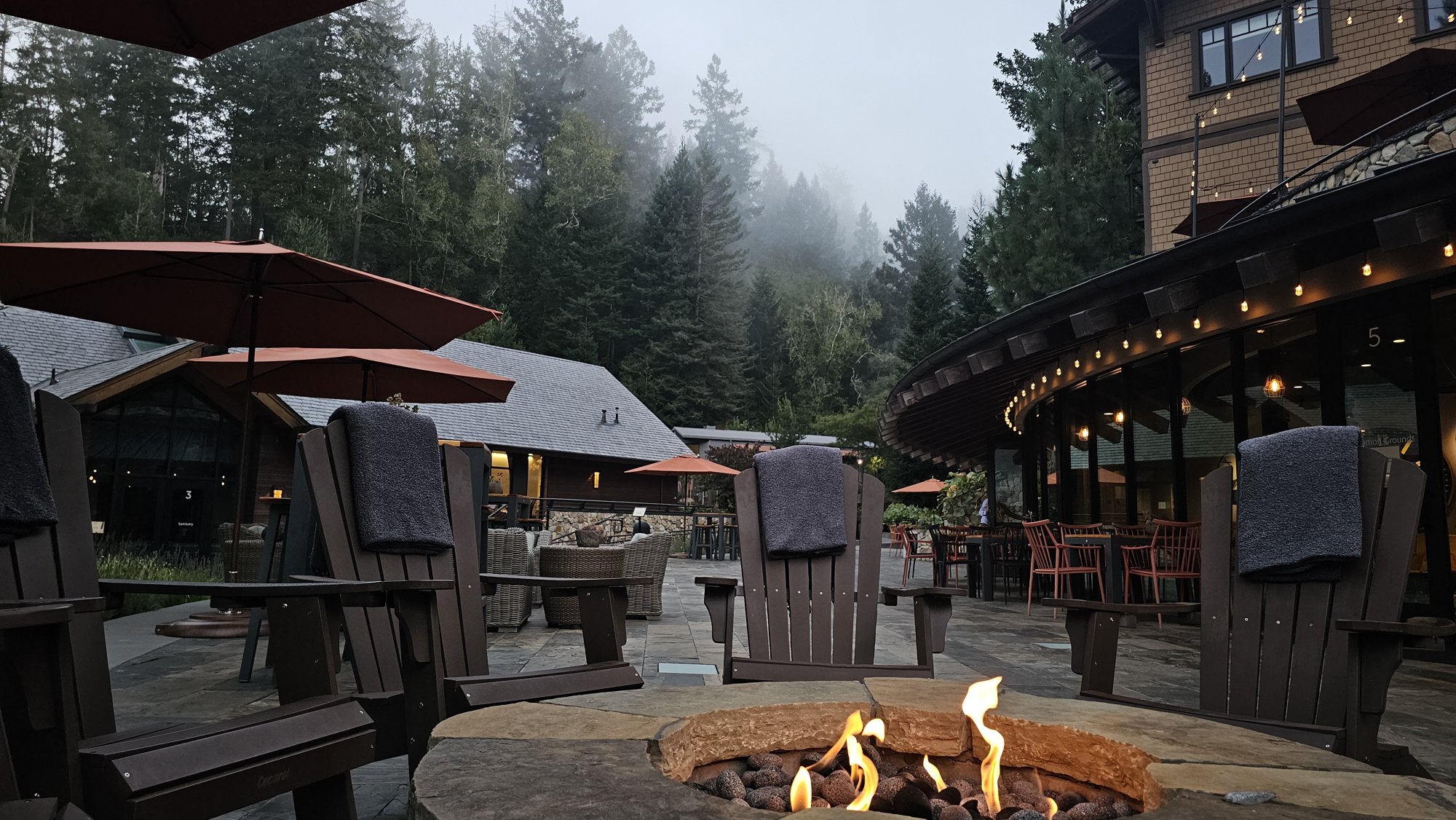 The fire still burning at dawn, fog over the redwoods behind the lodge