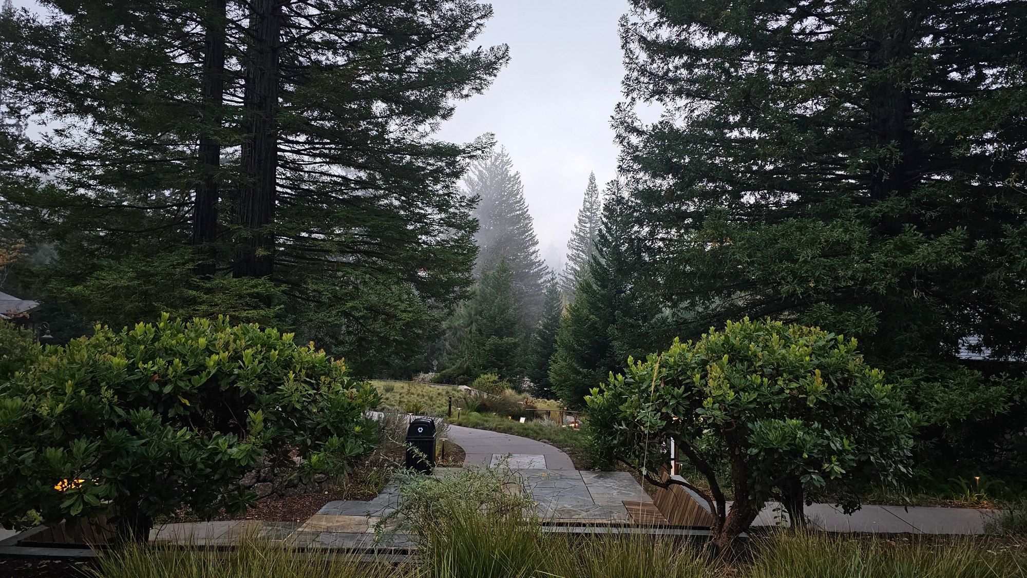 The garden path at 1440 in early morning fog