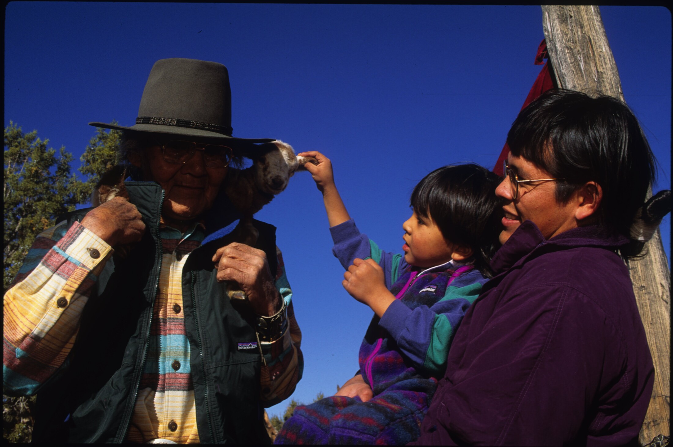 An elder holding a lamb, a small child reaching for it, and the child's mother