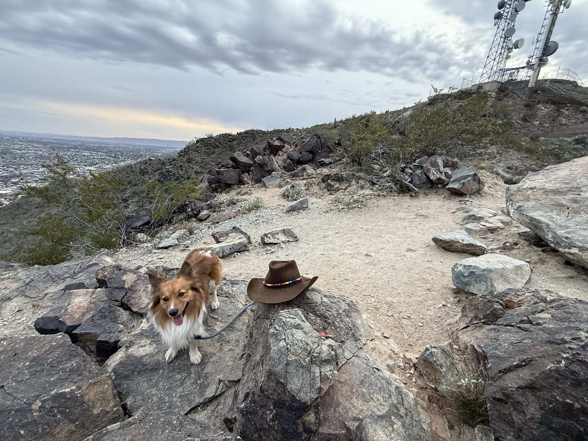 On the trail at first light
