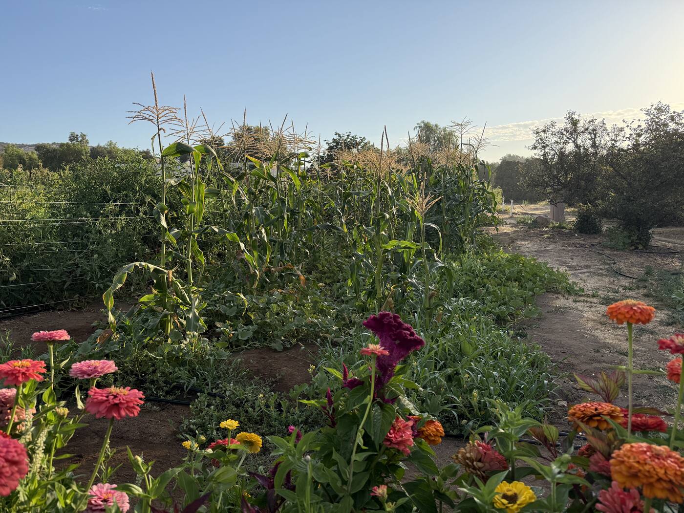Rancho La Puerta, August 2026