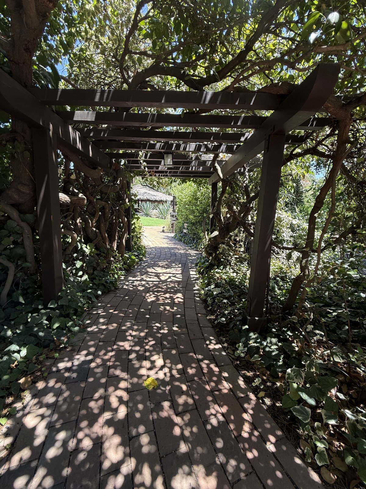 The arbor path, mid-morning