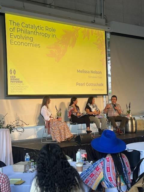 Tony speaking on a panel on new economic governance that ensures preservation and support for culture and land