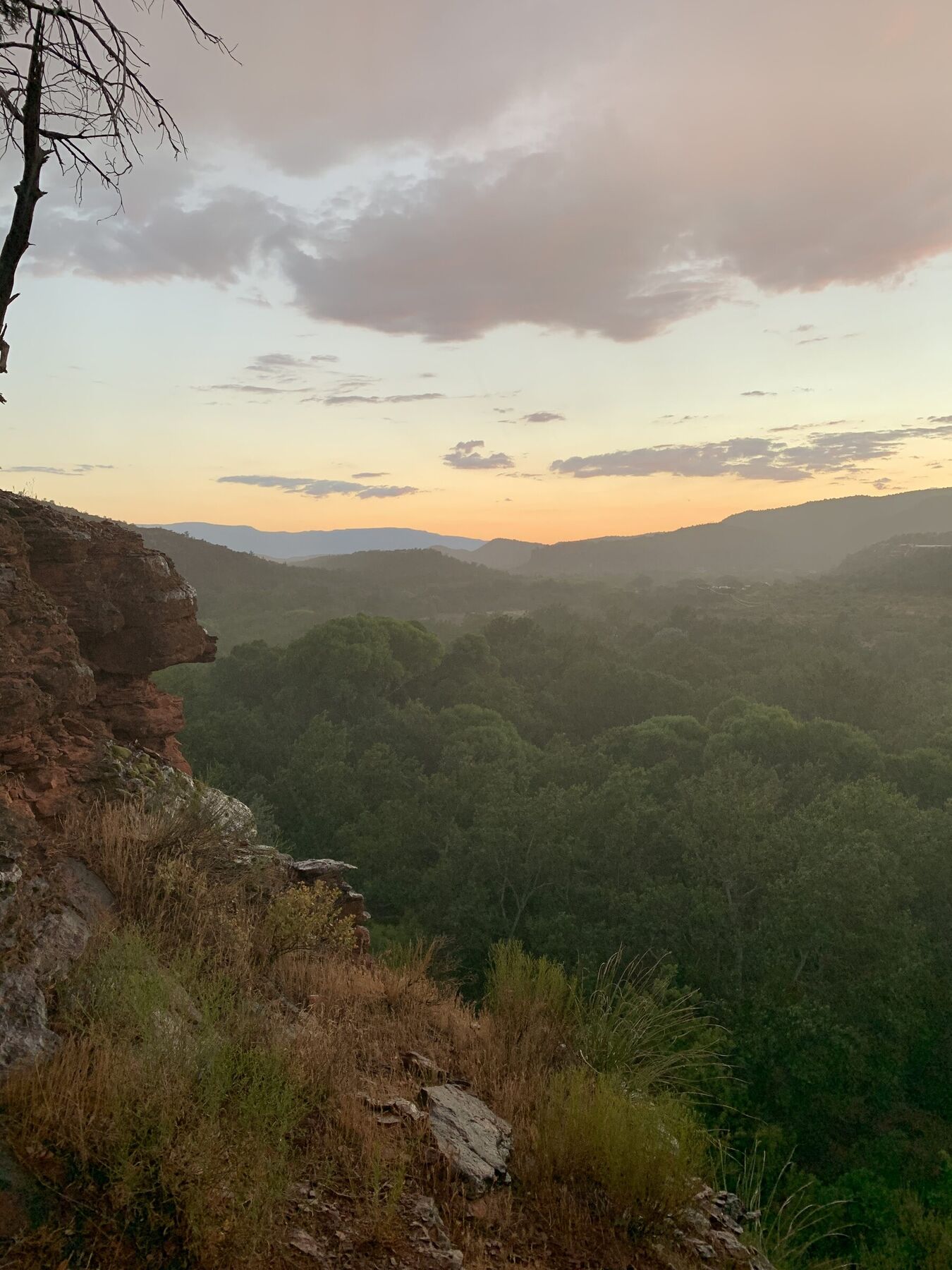 A forested canyon going blue at dusk