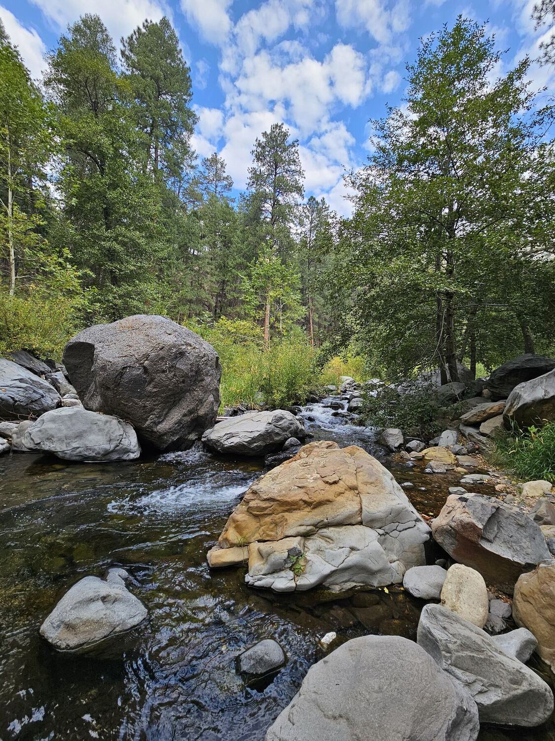 Water running white over red stone through grass