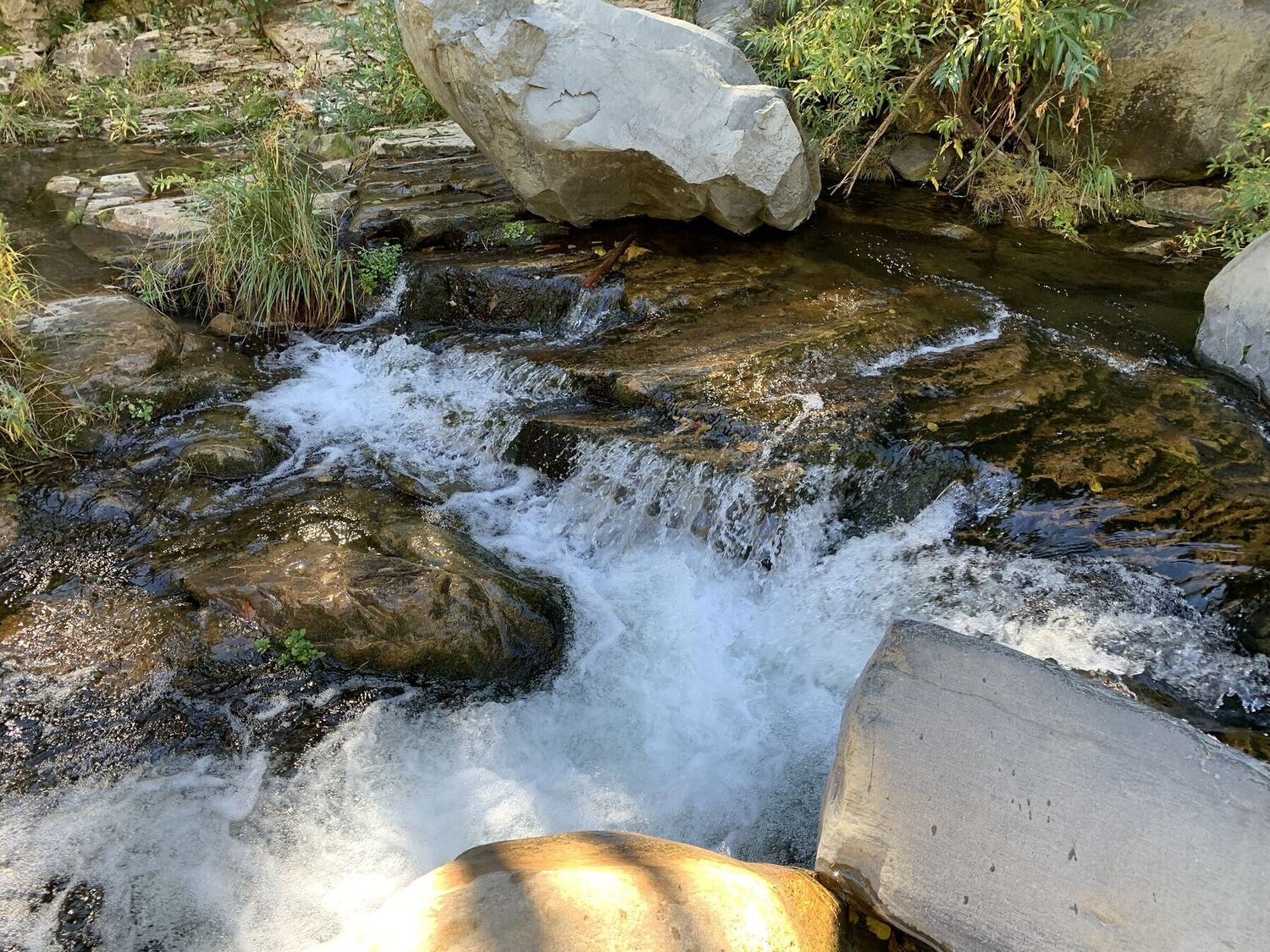 Whitewater dropping over boulders in a high-country creek