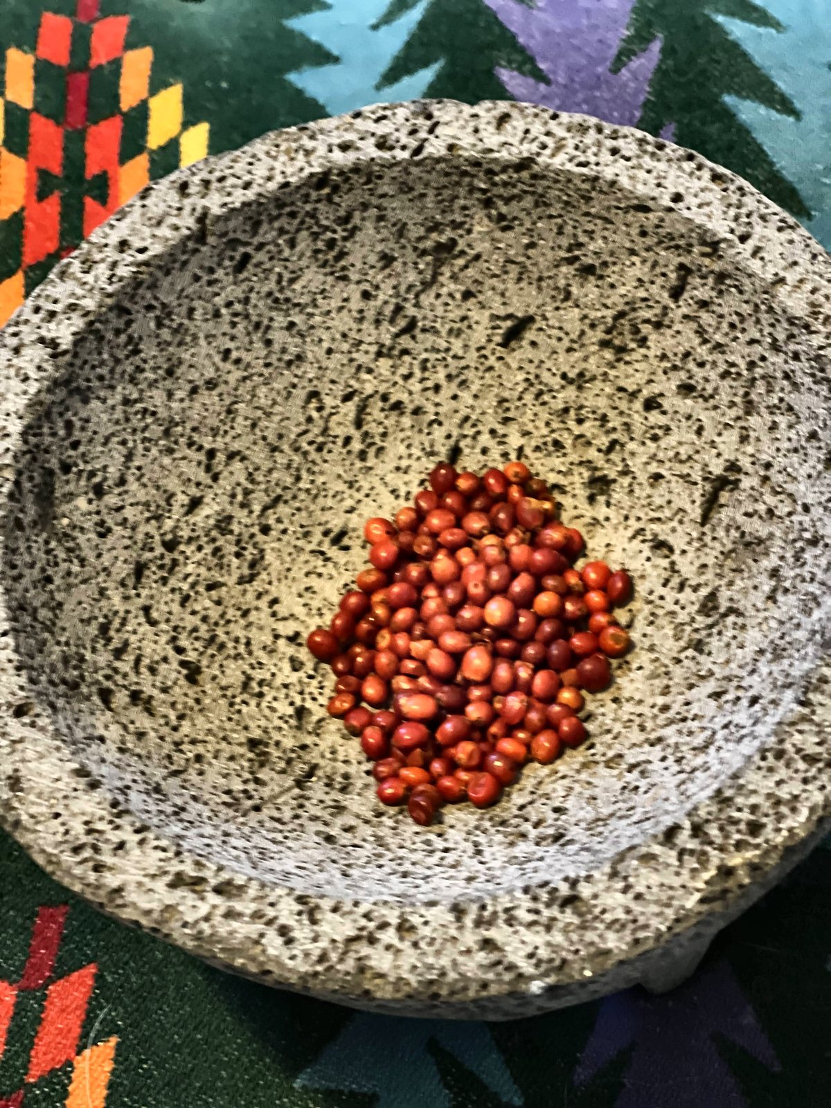 A speckled stone bowl holding a handful of small red seeds, resting on a woven blanket with a bright Diné-style pattern.