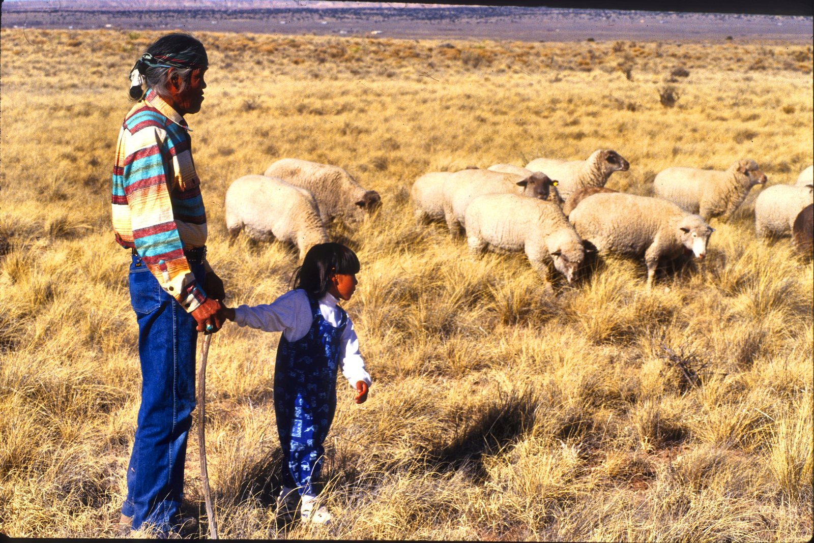 Tony Skrelūnas's grandfather, in a striped shirt with his hair tied back in a traditional bun, holds a long herding stick in one hand and his great-grandson's hand in the other, beside a grazing flock of sheep in tall dry grass.