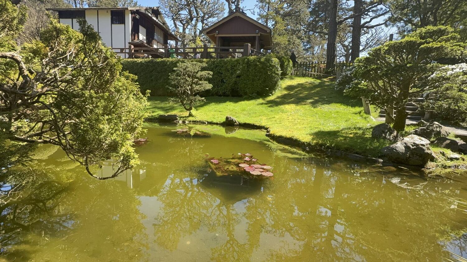 A teahouse across the still water of a Japanese garden pond