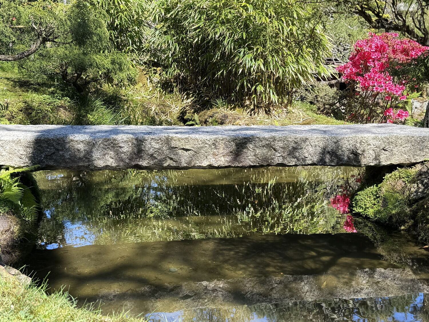 A single stone slab bridging green water beneath bamboo